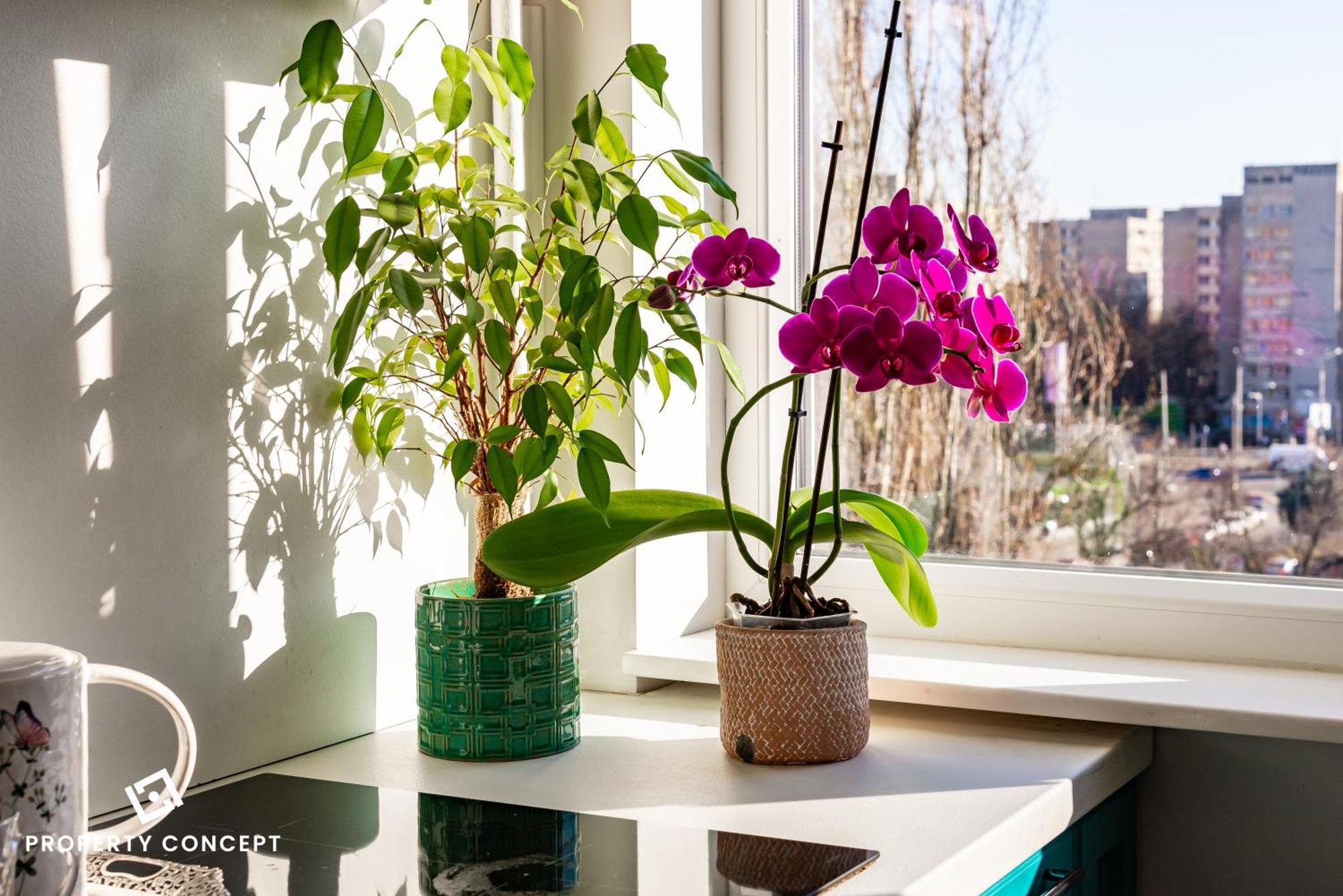 Blissful Retreat Apartment Bükreş Dış mekan fotoğraf