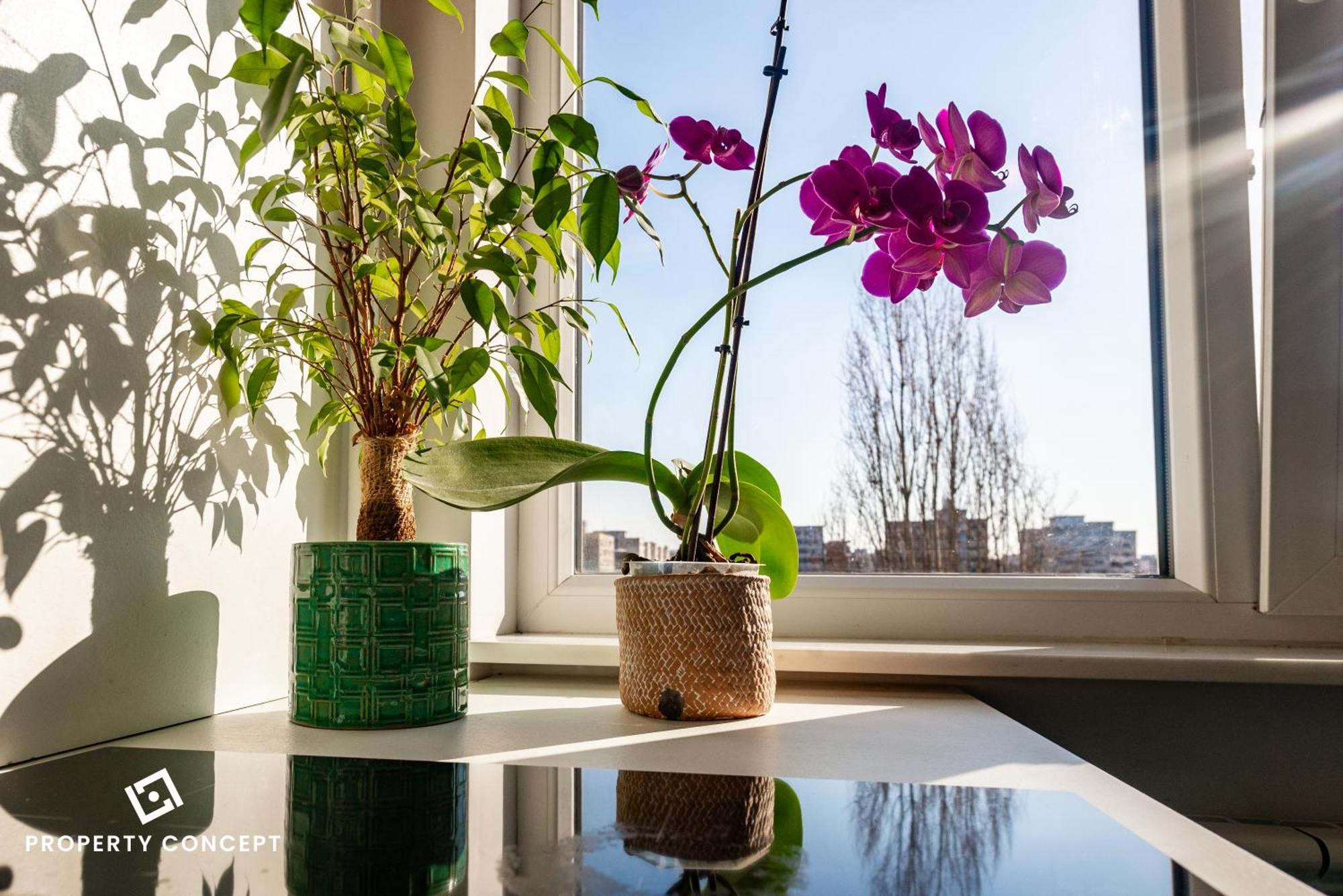 Blissful Retreat Apartment Bükreş Dış mekan fotoğraf