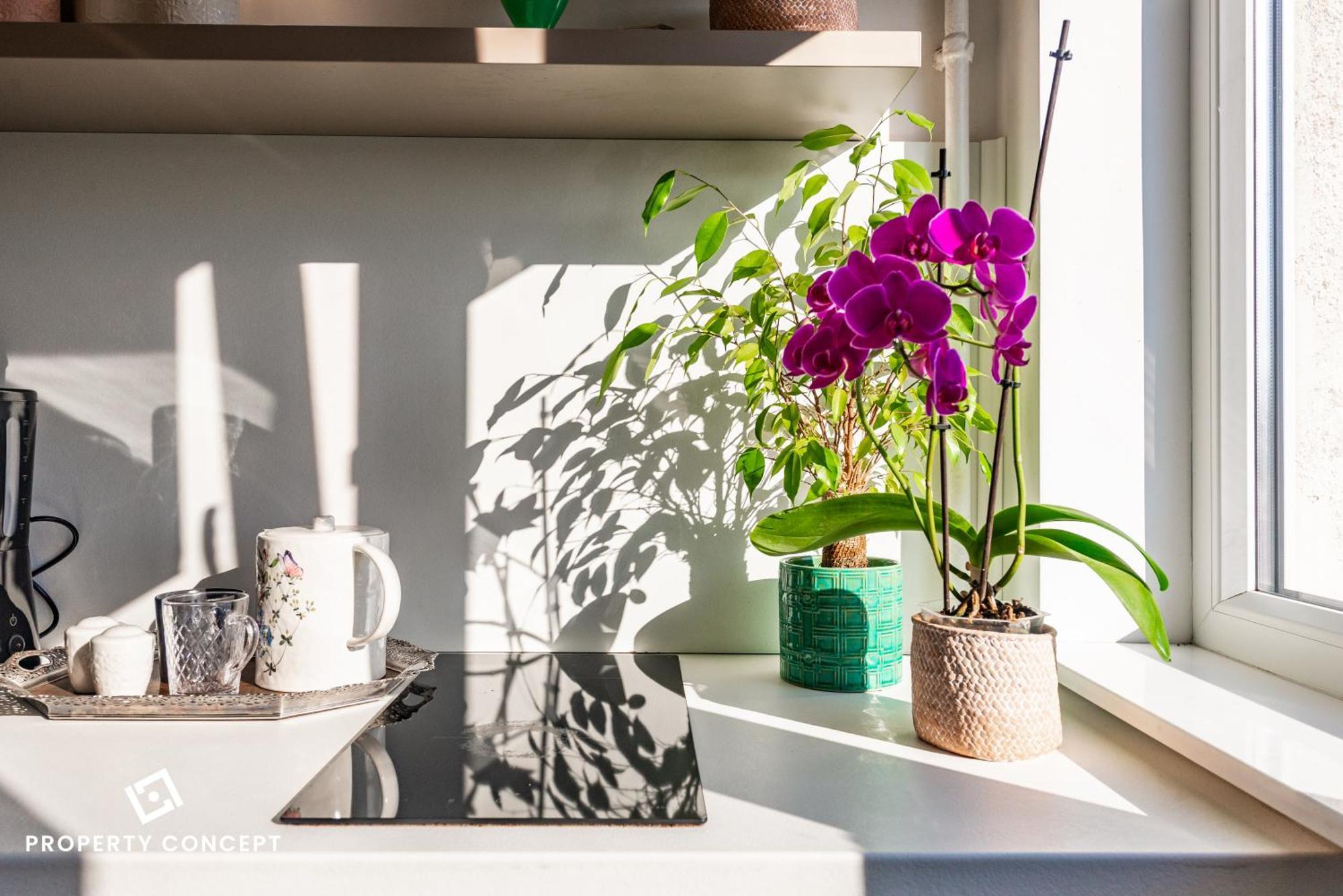 Blissful Retreat Apartment Bükreş Dış mekan fotoğraf